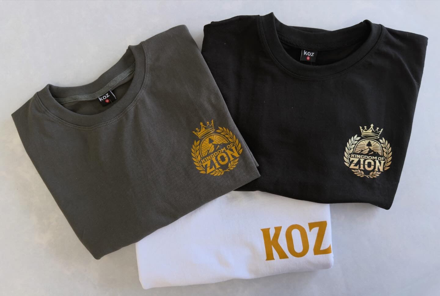 Zion Strength bundle